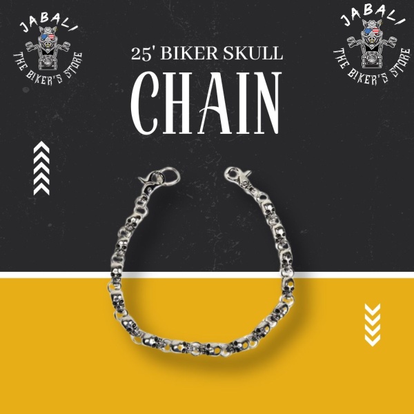 25 Biker Skull Chain2